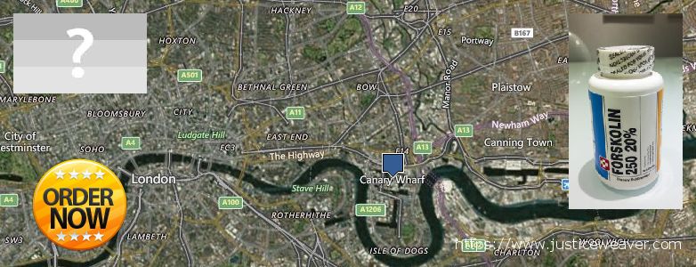 Purchase Forskolin Diet Pills online Canary Wharf, UK