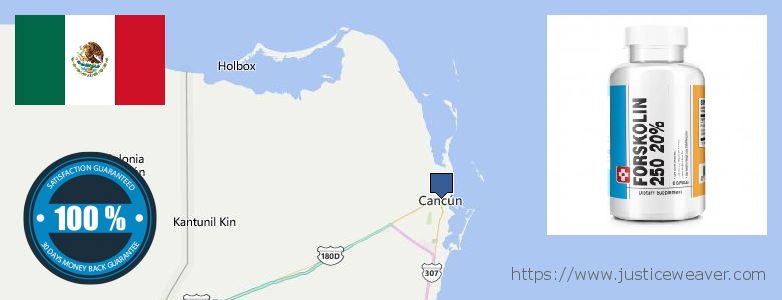 Comprar Forskolin en linea Cancun, Mexico Dónde comprar Forskolin en linea Cancun, Mexico