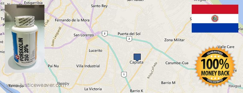 Purchase Forskolin Diet Pills online Capiata, Paraguay