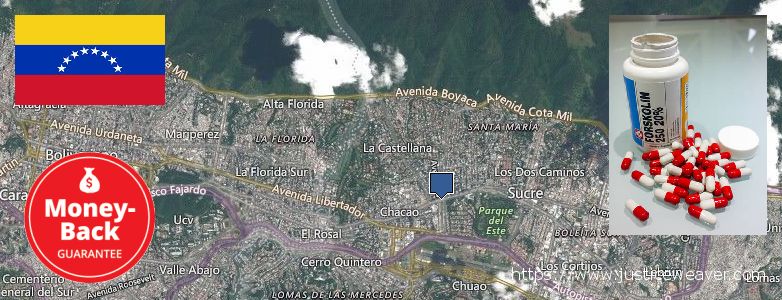 Dónde comprar Forskolin en linea Caracas, Venezuela