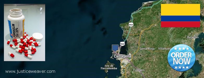 Dónde comprar Forskolin en linea Cartagena, Colombia
