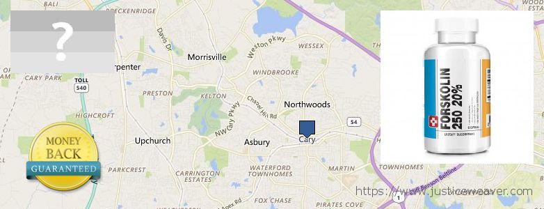 Where Can I Buy Forskolin Diet Pills online Cary, USA