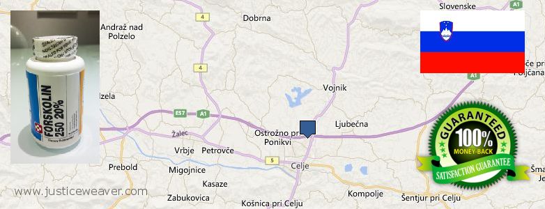 Dove acquistare Forskolin in linea Celje, Slovenia