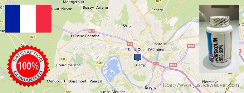Où Acheter Forskolin en ligne Cergy-Pontoise, France
