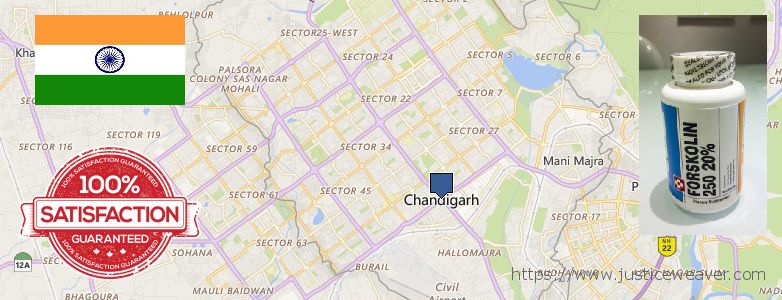 Buy Forskolin Diet Pills online Chandigarh, India Where to Buy Forskolin Diet Pills online Chandigarh, India