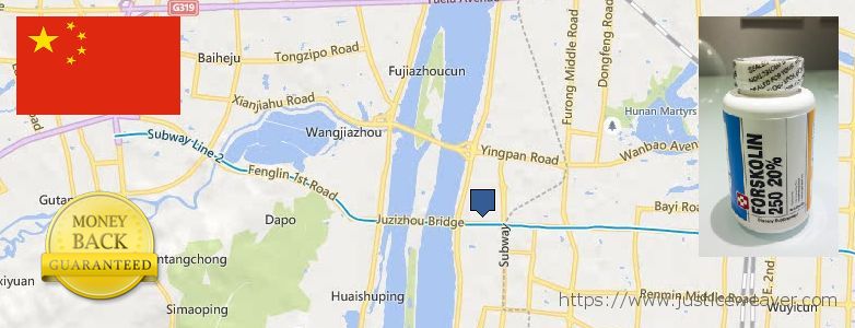 어디에서 구입하는 방법 Forskolin 온라인으로 Changsha, China