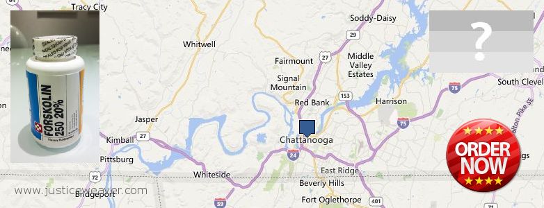 Var kan man köpa Forskolin nätet Chattanooga, USA