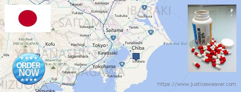 Where Can You Buy Forskolin Diet Pills online Chiba, Japan