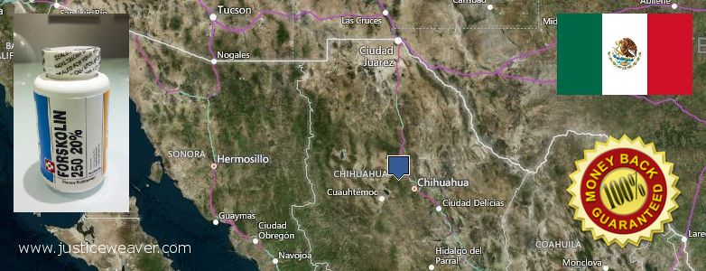 Dónde comprar Forskolin en linea Chihuahua, Mexico