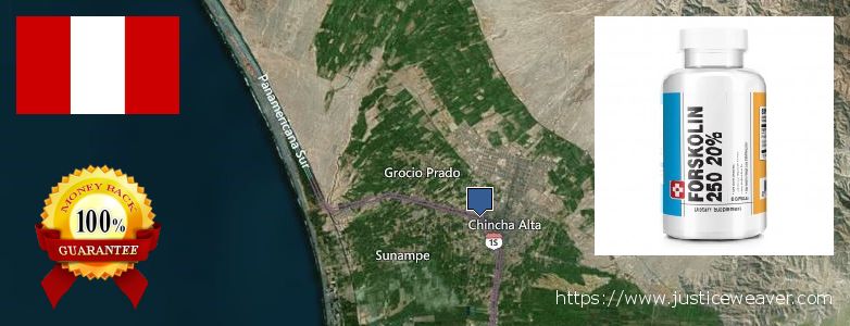 Comprar Forskolin en linea Chincha Alta, Peru Dónde comprar Forskolin en linea Chincha Alta, Peru