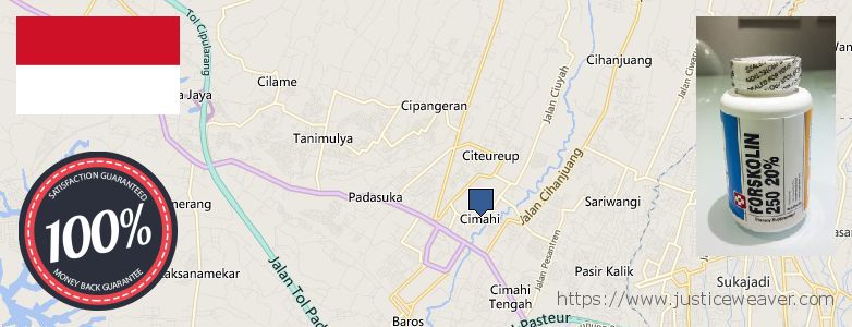 Where to Buy Forskolin Diet Pills online Cimahi, Indonesia