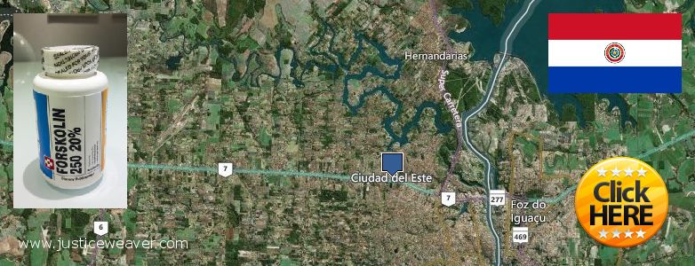 Where to Buy Forskolin Diet Pills online Ciudad del Este, Paraguay