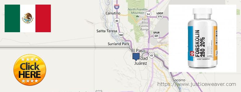 Purchase Forskolin Diet Pills online Ciudad Juarez, Mexico Buy Forskolin Diet Pills online Ciudad Juarez, Mexico