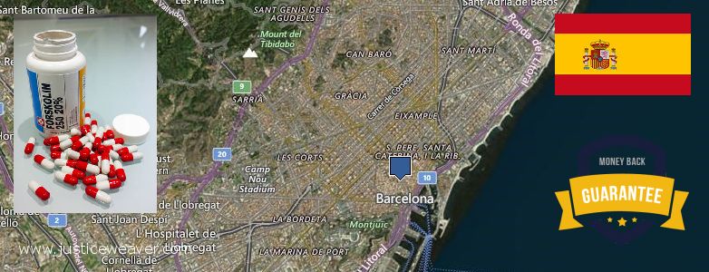 on comprar Forskolin en línia Ciutat Vella, Spain