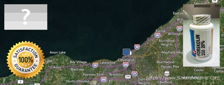 Buy Forskolin Diet Pills online Cleveland, USA