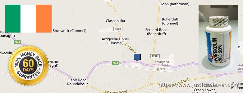 Buy Forskolin Diet Pills online Cluain Meala, Ireland Where Can You Buy Forskolin Diet Pills online Cluain Meala, Ireland