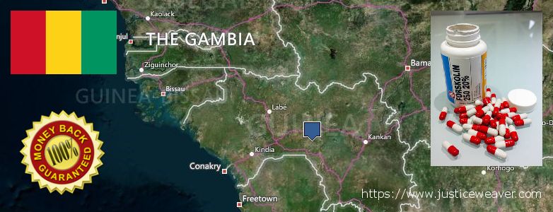 Where Can I Buy Forskolin Diet Pills online Conakry, Guinea