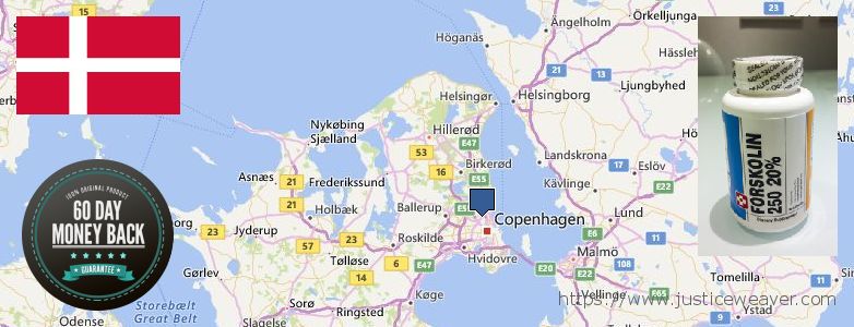 Hvor kan jeg købe Forskolin online Copenhagen, Denmark