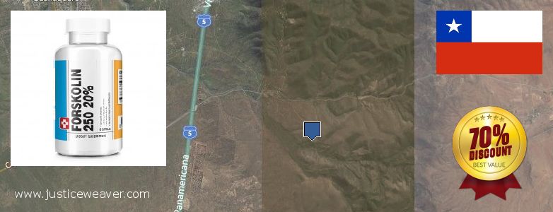 Dónde comprar Forskolin en linea Coquimbo, Chile