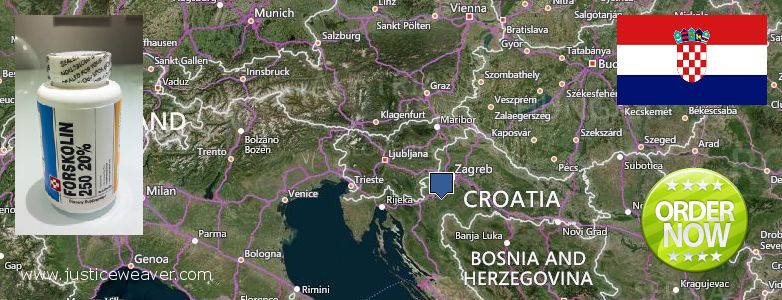 Var kan man köpa Forskolin nätet Croatia
