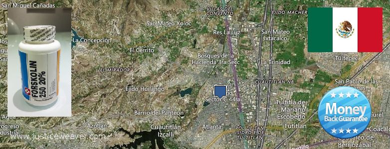 Dónde comprar Forskolin en linea Cuautitlan Izcalli, Mexico