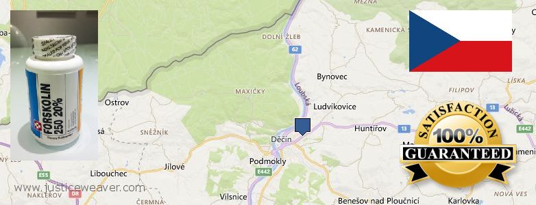 Kde kúpiť Forskolin on-line Decin, Czech Republic