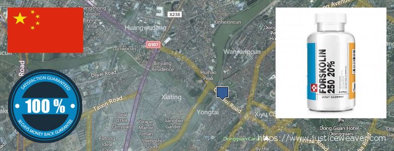 어디에서 구입하는 방법 Forskolin 온라인으로 Dongguan, China