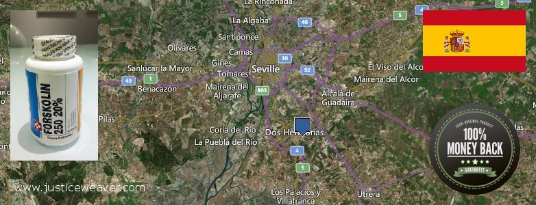 Dónde comprar Forskolin en linea Dos Hermanas, Spain