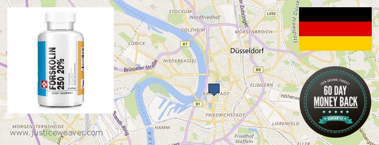 Wo kaufen Forskolin online Duesseldorf, Germany