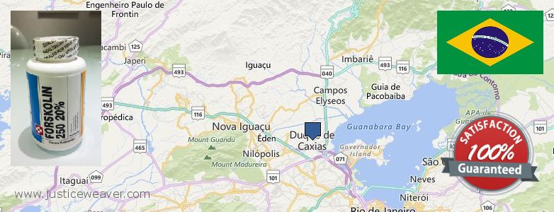 Kaufen Forskolin online Duque de Caxias, Brazil Wo kaufen Forskolin online Duque de Caxias, Brazil