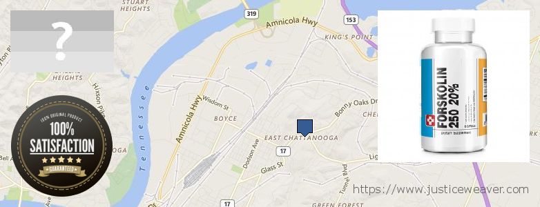 Hvor kjøpe Forskolin online East Chattanooga, USA