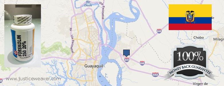 Dónde comprar Forskolin en linea Eloy Alfaro, Ecuador