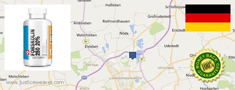 Wo kaufen Forskolin online Erfurt, Germany