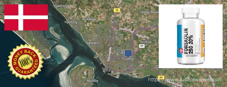 Wo kaufen Forskolin online Esbjerg, Denmark