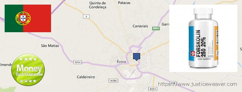 Where to Purchase Forskolin Diet Pills online Evora, Portugal