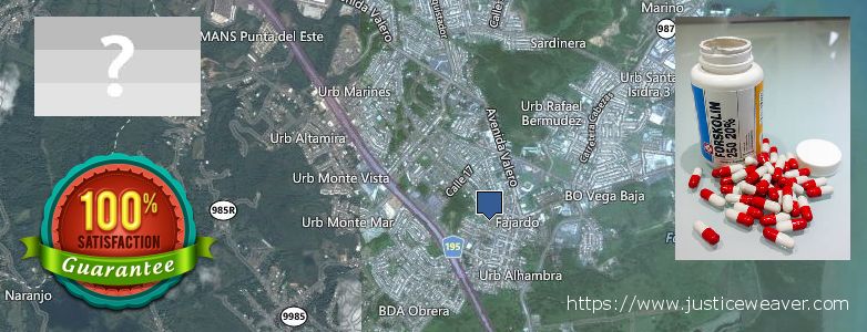 Buy Forskolin Diet Pills online Fajardo, Puerto Rico