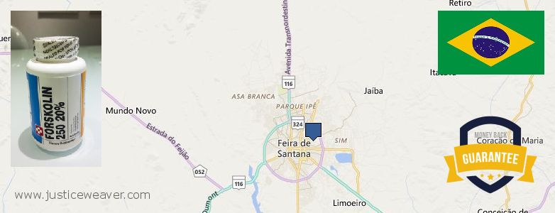 Onde Comprar Forskolin on-line Feira de Santana, Brazil