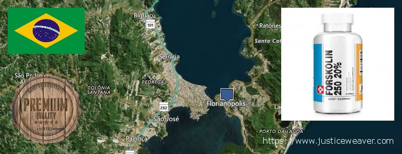 Compre Forskolin on-line Florianopolis, Brazil Onde Comprar Forskolin on-line Florianopolis, Brazil