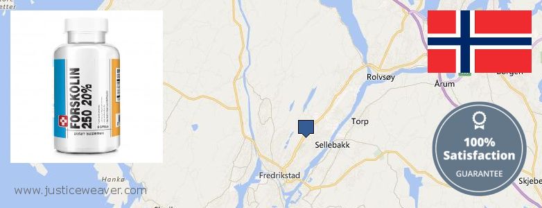 Where Can I Purchase Forskolin Diet Pills online Fredrikstad, Norway