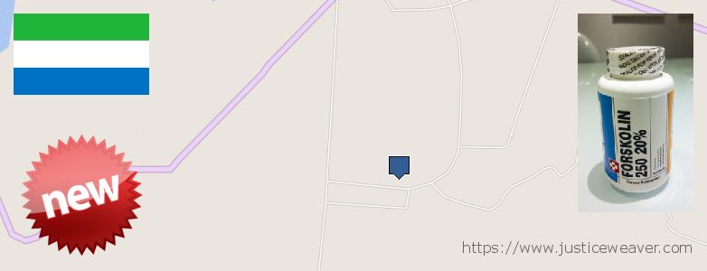 Purchase Forskolin Diet Pills online Freetown, Sierra Leone Where Can I Buy Forskolin Diet Pills online Freetown, Sierra Leone