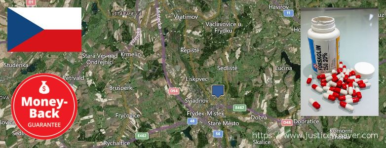 Kde koupit Forskolin on-line Frydek-Mistek, Czech Republic