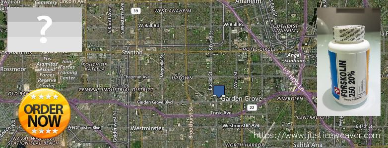 Where to Purchase Forskolin Diet Pills online Garden Grove, USA