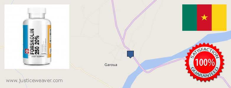Où Acheter Forskolin en ligne Garoua, Cameroon