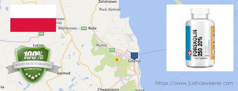 Kde koupit Forskolin on-line Gdynia, Poland
