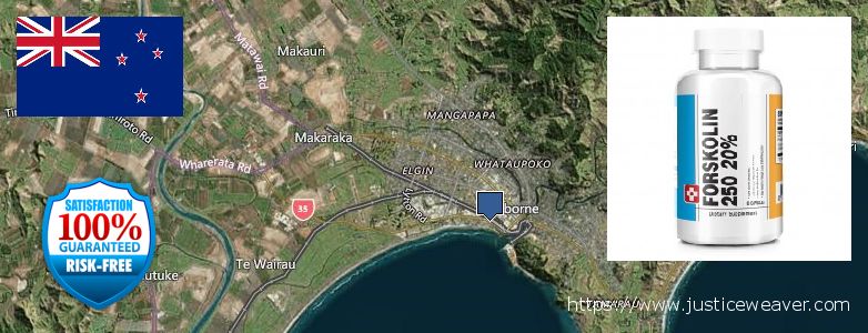 Hol lehet megvásárolni Forskolin online Gisborne, New Zealand