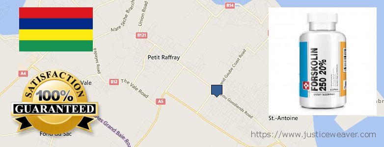 कहॉ से खरीदु Forskolin ऑनलाइन Goodlands, Mauritius