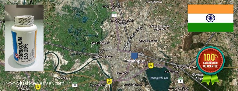 कहॉ से खरीदु Forskolin ऑनलाइन Gorakhpur, India