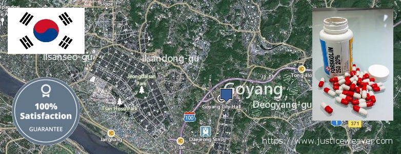 어디에서 구입하는 방법 Forskolin 온라인으로 Goyang-si, South Korea