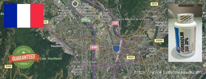 Où Acheter Forskolin en ligne Grenoble, France