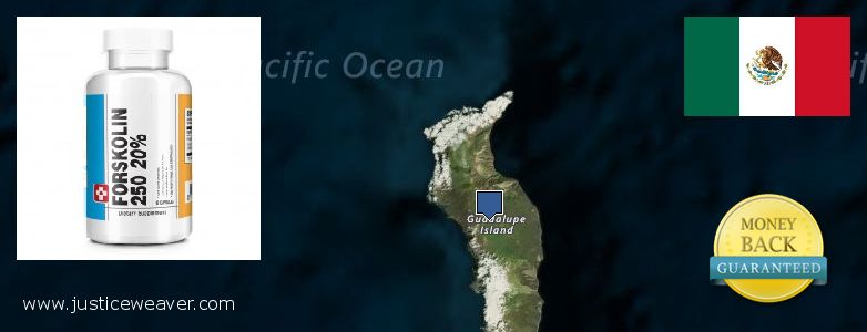 Best Place to Buy Forskolin Diet Pills online Guadalupe, Mexico